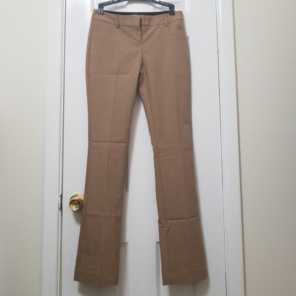 Express Columnist Pants